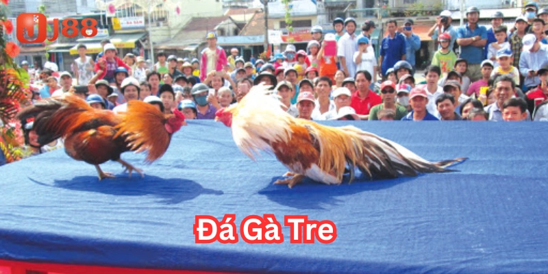 Đá Gà Tre là gì?