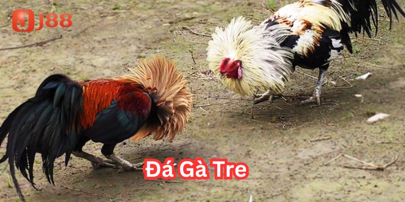 Kỹ thuật chiến đấu trong Đá Gà Tre
